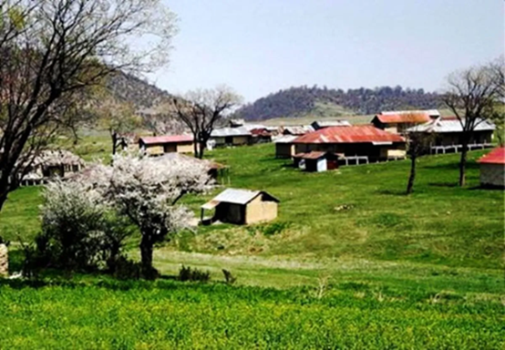 جاذبه گرگان