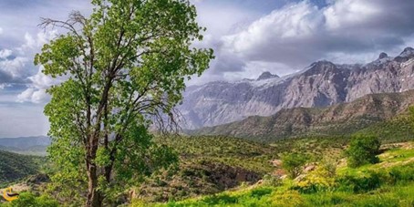 یاسوج